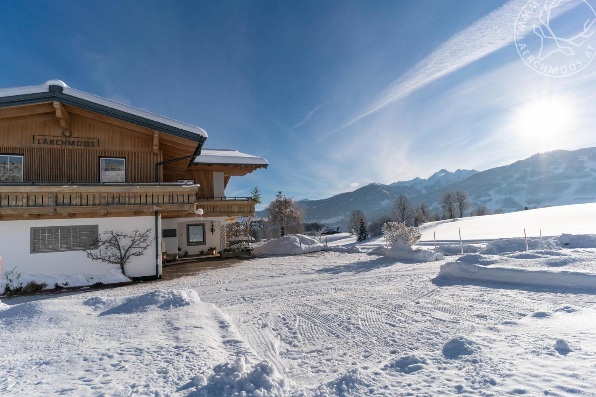 Appartements Laerchmoos Ramsau am Dachstein Bagian luar foto
