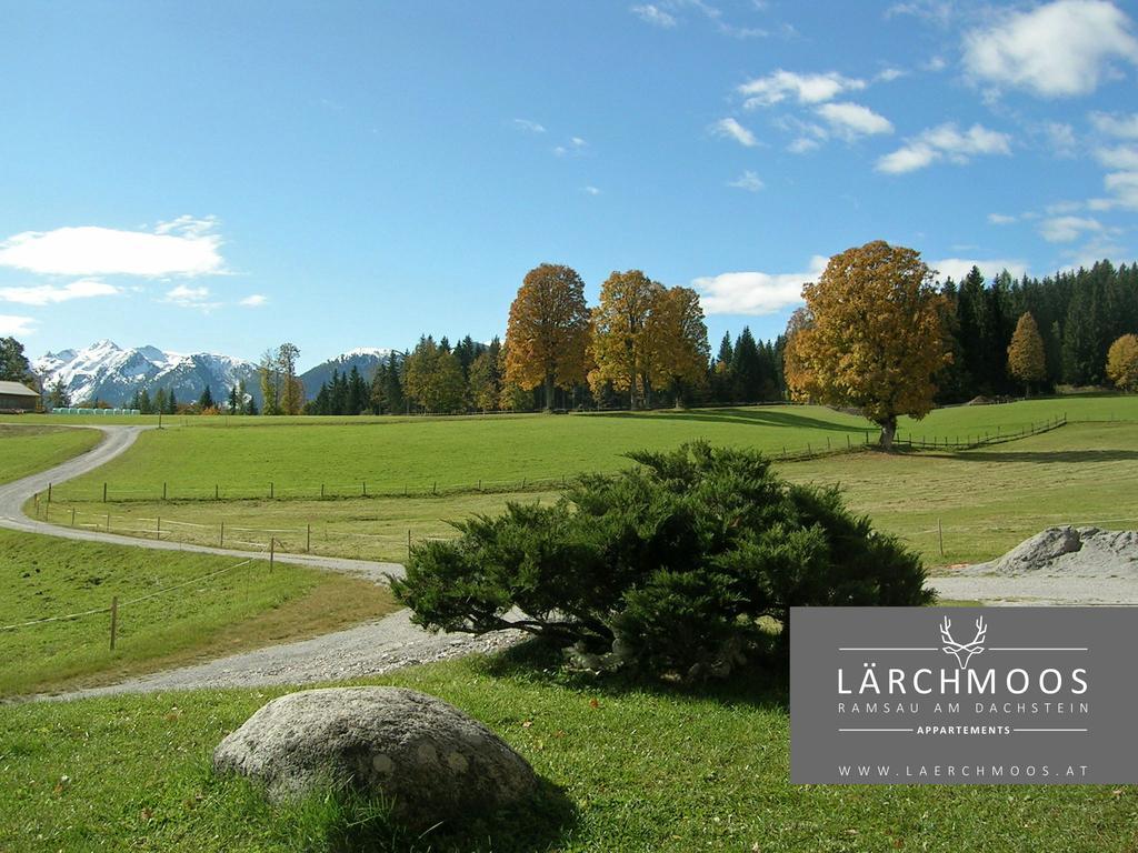 Appartements Laerchmoos Ramsau am Dachstein Bagian luar foto