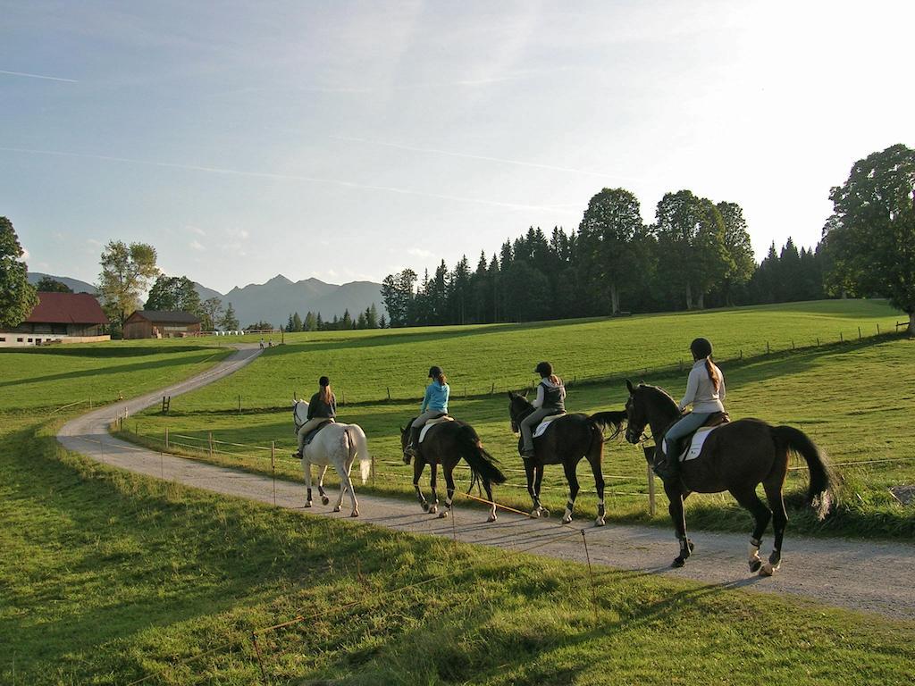 Appartements Laerchmoos Ramsau am Dachstein Bagian luar foto