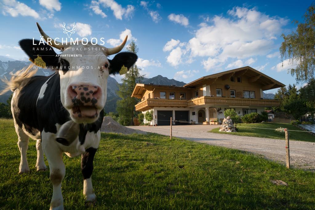 Appartements Laerchmoos Ramsau am Dachstein Bagian luar foto