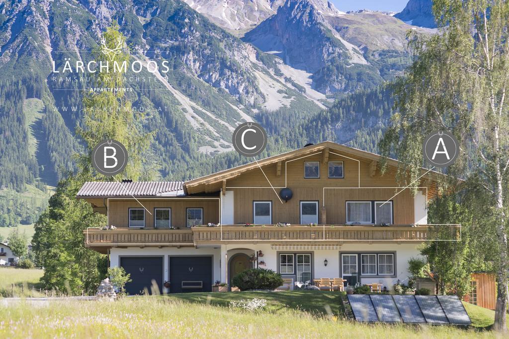Appartements Laerchmoos Ramsau am Dachstein Bagian luar foto